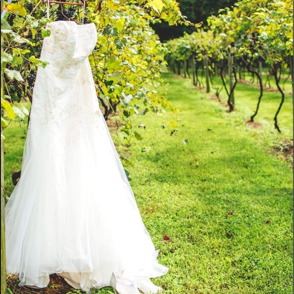 David’s Bridal Ivory with blush ball gown sz 20 - Picture 1 of 5